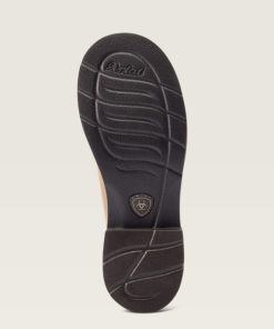 Modafind.shop777f1ce19b 2