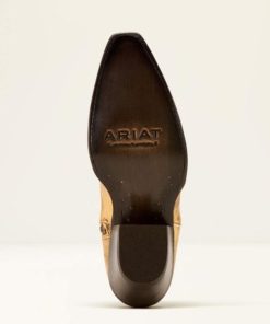 Modafind.shopc42187153f 2