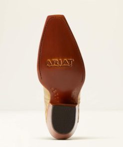 Modafind.shope32a78b3df 2