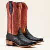 Modafind.shope883eb66ab 6